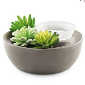 Scentsy Chasing Fireflies